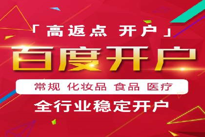 百度竞价代理操作手册：成功案例分析